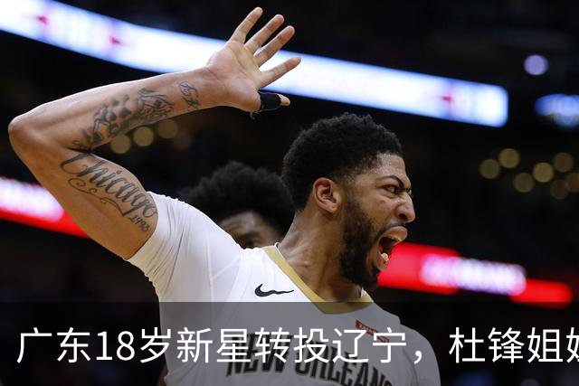 广东18岁新星转投辽宁，杜锋姐姐当选篮协副会长，2后卫试训新疆，广厦外援接受归化
